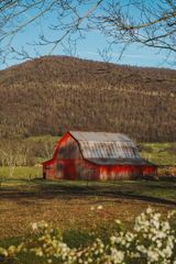 11414 Upper East Valley Road, Pikeville, TN 37367