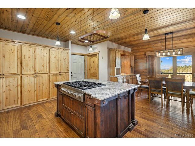 111 Blue Spruce Rd, Divide, CO 80814