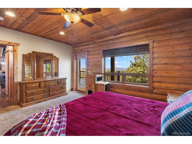 111 Blue Spruce Rd, Divide, CO 80814