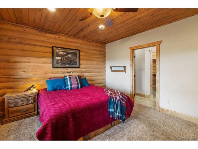 111 Blue Spruce Rd, Divide, CO 80814