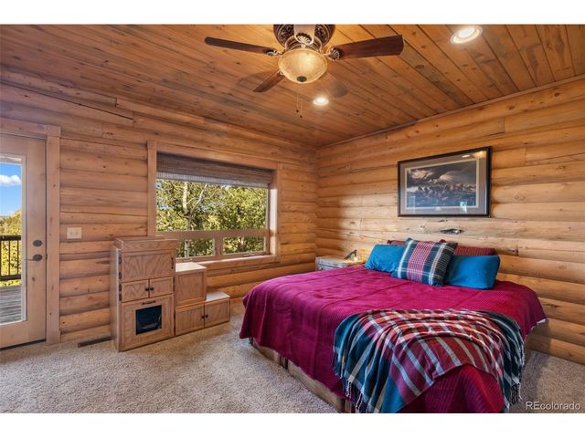 111 Blue Spruce Rd, Divide, CO 80814