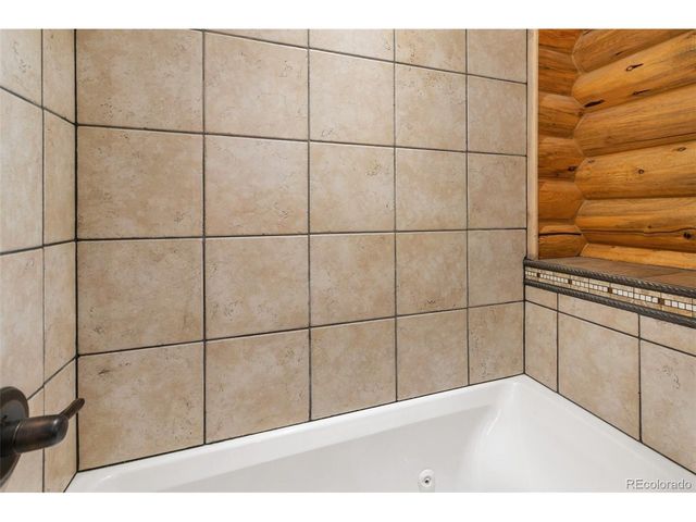 111 Blue Spruce Rd, Divide, CO 80814