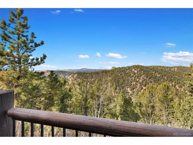111 Blue Spruce Rd, Divide, CO 80814