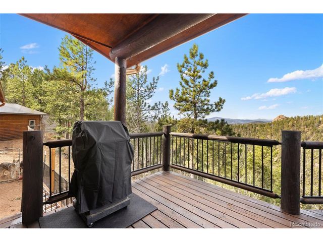 111 Blue Spruce Rd, Divide, CO 80814