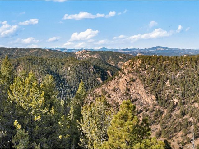 111 Blue Spruce Rd, Divide, CO 80814