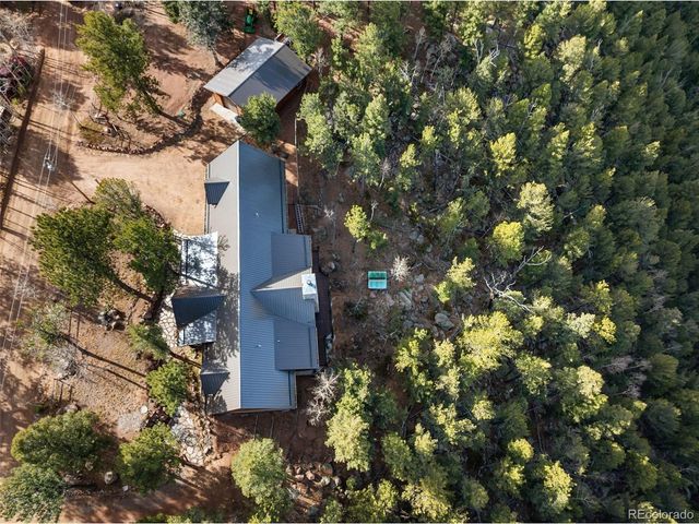 111 Blue Spruce Rd, Divide, CO 80814