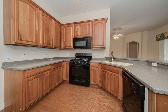 19027 DOVE CREEK DRIVE, Tampa, FL 33647