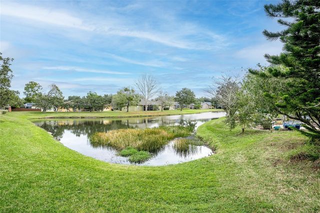 19027 DOVE CREEK DRIVE, Tampa, FL 33647