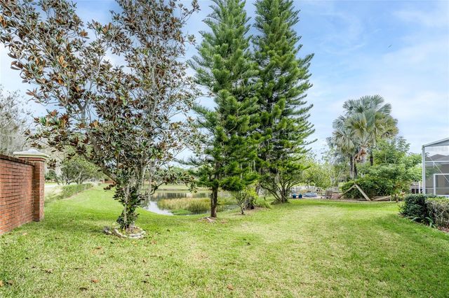 19027 DOVE CREEK DRIVE, Tampa, FL 33647