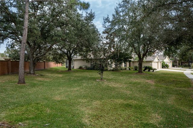 19027 DOVE CREEK DRIVE, Tampa, FL 33647