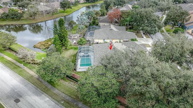 19027 DOVE CREEK DRIVE, Tampa, FL 33647