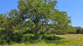 277 Meuth Cemetery RD, Red Rock, TX 78662