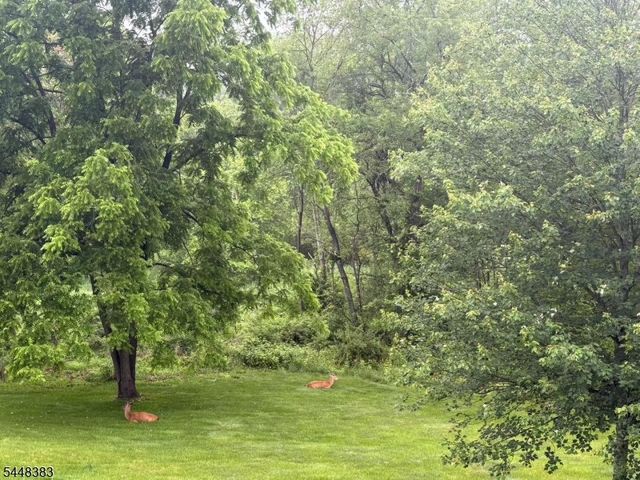 93 Hills Dr, Montgomery Twp., NJ 08502