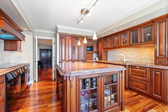 132 E Delaware Place 5906, Chicago, IL 60611