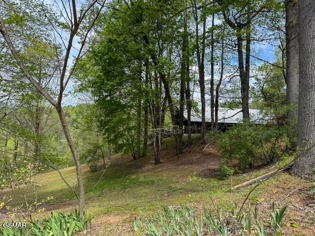 1421 Silver Poplar Lane, Sevierville, TN 37876