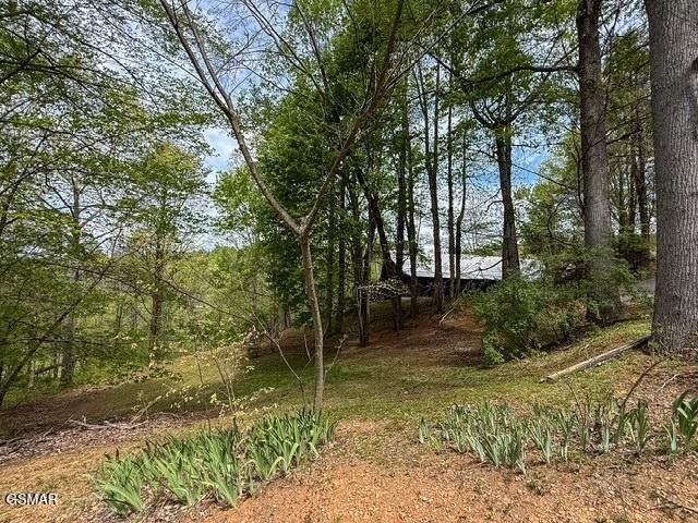 1421 Silver Poplar Lane, Sevierville, TN 37876