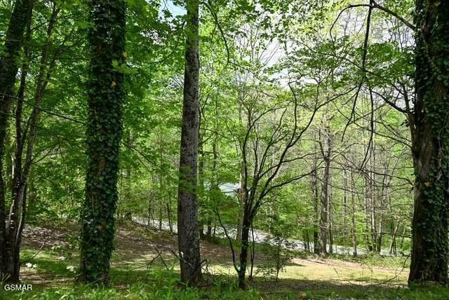 1421 Silver Poplar Lane, Sevierville, TN 37876