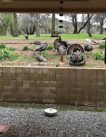 44819 Tyler Creek Drive, Porterville, CA 93257