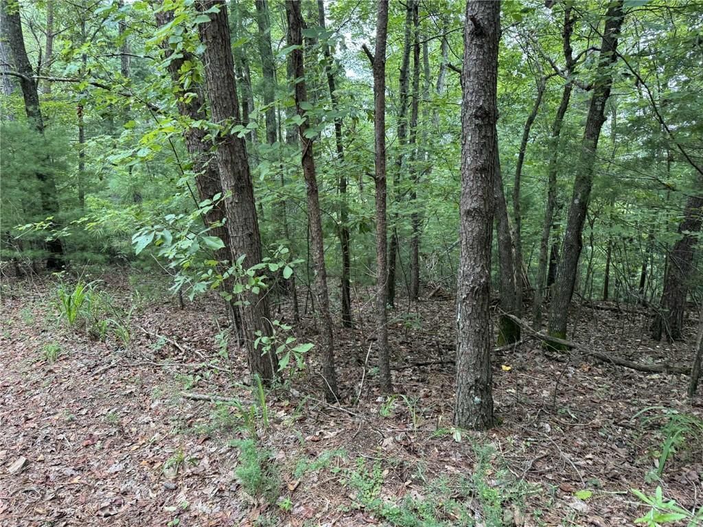 0 Shade Tree, Talking Rock, GA 30175