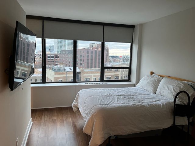 3930 N Pine Grove Avenue 1002, Chicago, IL 60613