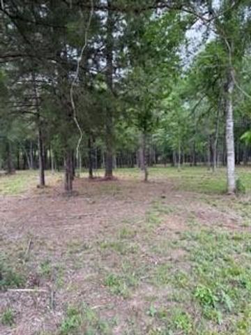 139778 Capital Creek Ranch Boulevard, Willis, TX 77378