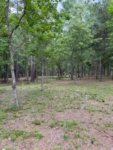 139778 Capital Creek Ranch Boulevard, Willis, TX 77378