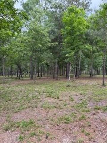 139778 Capital Creek Ranch Boulevard, Willis, TX 77378