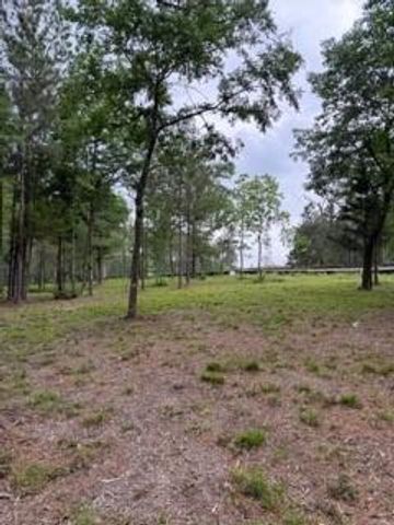 139778 Capital Creek Ranch Boulevard, Willis, TX 77378