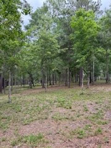 139778 Capital Creek Ranch Boulevard, Willis, TX 77378
