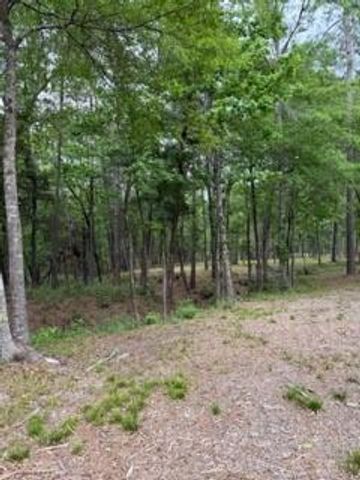 139778 Capital Creek Ranch Boulevard, Willis, TX 77378