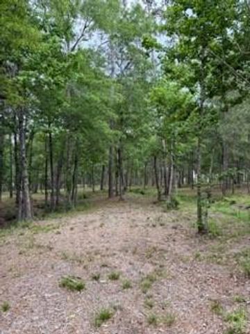 139778 Capital Creek Ranch Boulevard, Willis, TX 77378