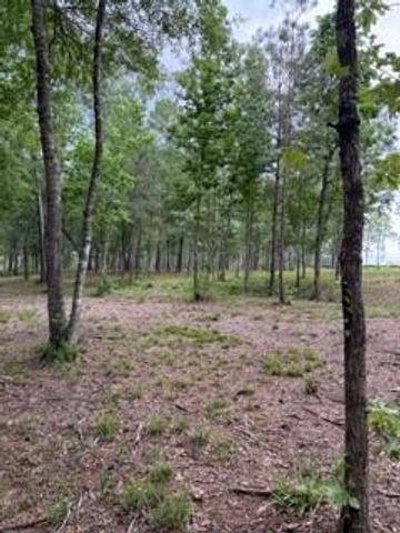 139778 Capital Creek Ranch Boulevard, Willis, TX 77378