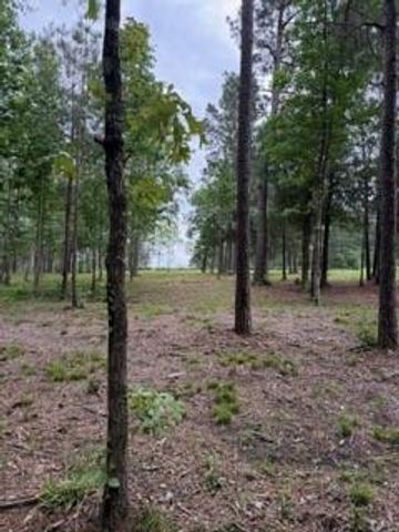 139778 Capital Creek Ranch Boulevard, Willis, TX 77378