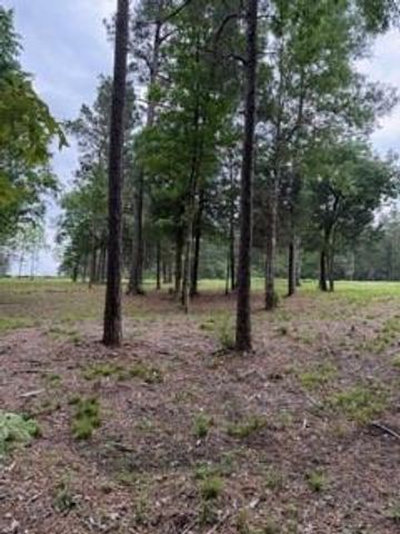 139778 Capital Creek Ranch Boulevard, Willis, TX 77378