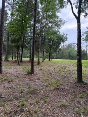 139778 Capital Creek Ranch Boulevard, Willis, TX 77378