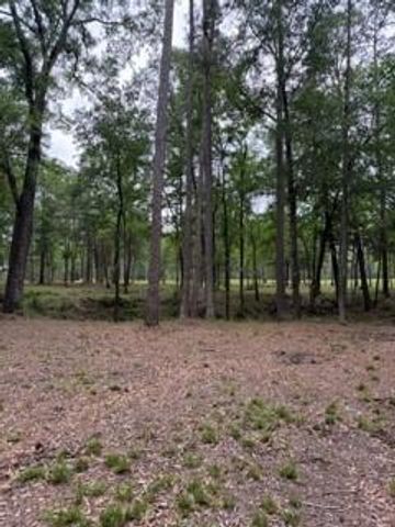 139778 Capital Creek Ranch Boulevard, Willis, TX 77378