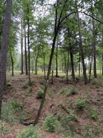 139778 Capital Creek Ranch Boulevard, Willis, TX 77378