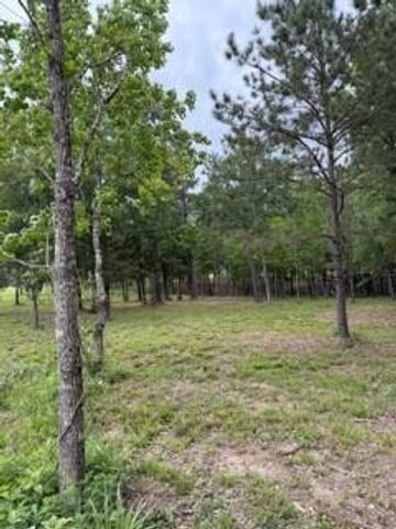 139778 Capital Creek Ranch Boulevard, Willis, TX 77378