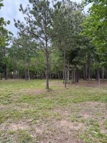 139778 Capital Creek Ranch Boulevard, Willis, TX 77378