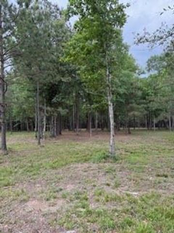 139778 Capital Creek Ranch Boulevard, Willis, TX 77378