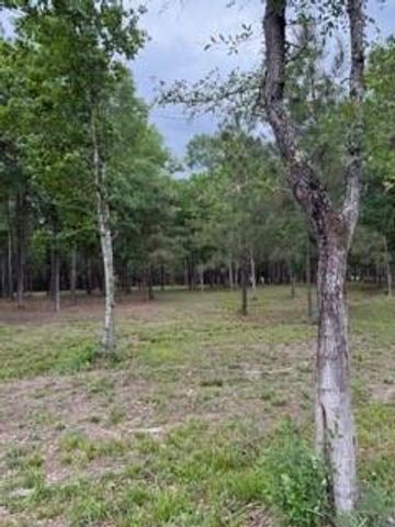 139778 Capital Creek Ranch Boulevard, Willis, TX 77378