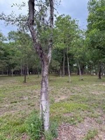 139778 Capital Creek Ranch Boulevard, Willis, TX 77378