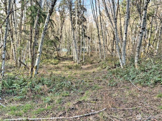 6641 SE Arcadia Road, Shelton, WA 98584