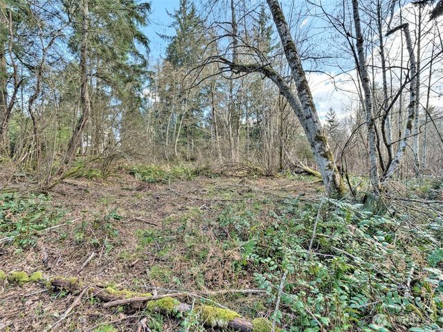 6641 SE Arcadia Road, Shelton, WA 98584