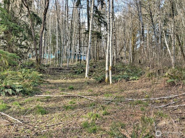 6641 SE Arcadia Road, Shelton, WA 98584