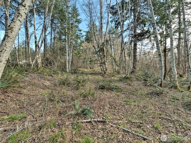 6641 SE Arcadia Road, Shelton, WA 98584