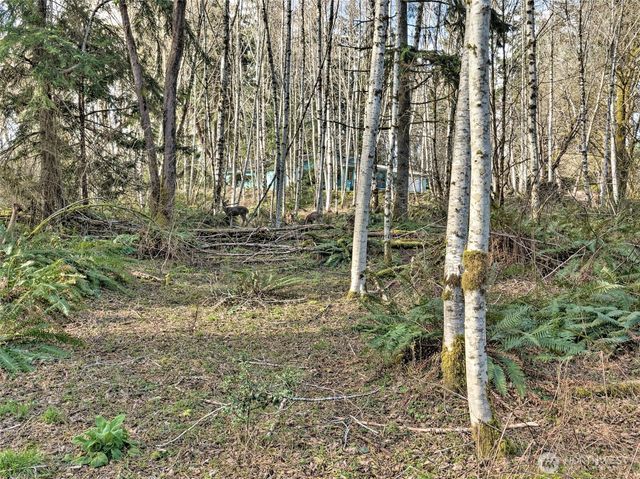 6641 SE Arcadia Road, Shelton, WA 98584