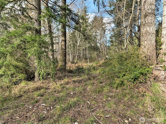 6641 SE Arcadia Road, Shelton, WA 98584