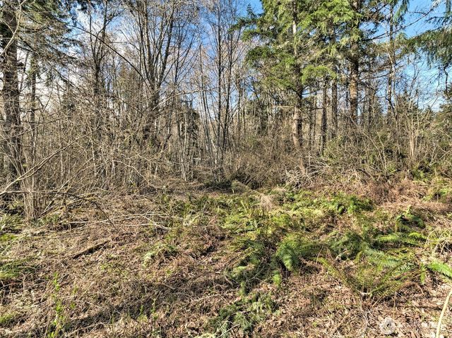 6641 SE Arcadia Road, Shelton, WA 98584