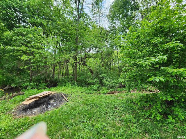 500 Claypool Street, Cantrall, IL 62625